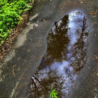 Зеркальная лужица :: Любовь 