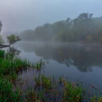 *** :: Виталий Емельянов