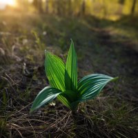 * :: Александр Иванов