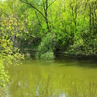 Москва. Царская усадьба Измайлово, XVII в. :: Наташа *****