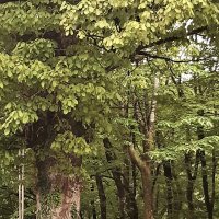 Поселок в горах :: Tata Wolf