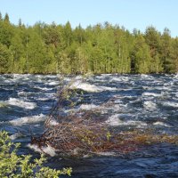 Стихия :: Ольга 