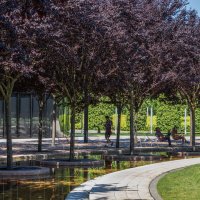 В парке Галицкого Краснодар :: Игорь Сикорский