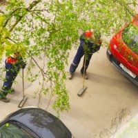 Дворники ?! С щётками... :: Юрий Куликов