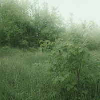 ****** :: Валентина M