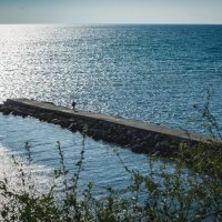 Дорога в море. :: Екатерина Рябинина