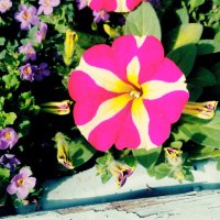 111 (139) :: СТРЕН 