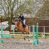 Конкур :: Анатолий Шумилин