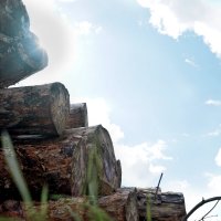 Залежни брёвен. :: sorovey Sol