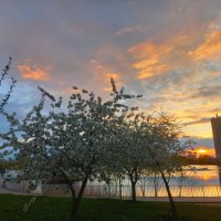 Закат :: Сапсан 