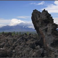 Камчатка. Острый Толбачик (3682 м) и Плоский Толбачик (действующий, высота 3140 м) :: Михаил Свиденцов