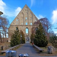 Древние руины монастыря Святой Бригитты :: Veera V Древние руины монастыря Святой Бригитты :: Veera V