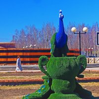 Май..Весенний эюд с городской площади! :: Владимир 