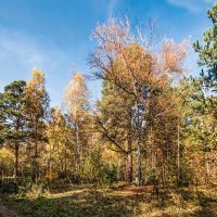 Пейзаж :: SanSan 