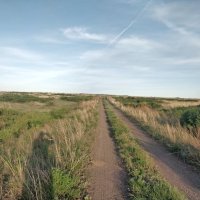 Степная дорожка...Убегает... :: Андрей Хлопонин