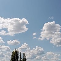 Плывут облака :: Елена Семигина