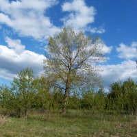 Пейзажи Крыма :: Валентин Семчишин Пейзажи Крыма :: Валентин Семчишин