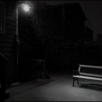 Снег :: **** vedin Снег :: **** vedin