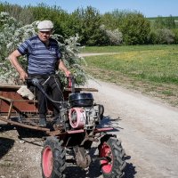 Майские будни... :: Влад Никишин