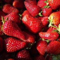 Клубника :: Freddy 97