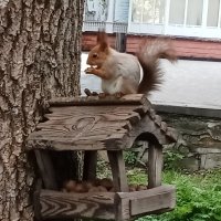 Позируют с удовольствием. :: Виктор 