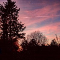 Закатный час. :: Lucy Schneider 