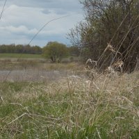 У реки Катки :: Vitrevi 