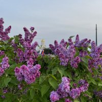 Весна Москва :: Александр Конов Весна Москва :: Александр Конов