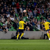 Краснодар — Ростов-на-Дону :: Андрей Lyz