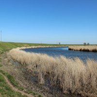 Местные виды. :: Виктор 