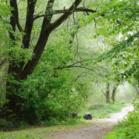 Май :: Рита Симонова