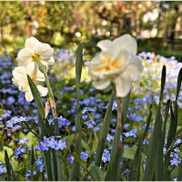 ********** :: Валерия Комова ********** :: Валерия Комова