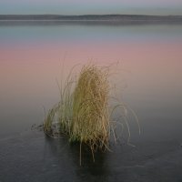 Тишь на Сенеже :: Елена 