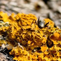 — :: Светлана 13.06.