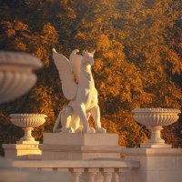 Грифоны Большой Митридатской лестницы. :: Анатолий Щербак