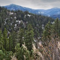 Весна на Мяо-Чане :: Людмила Фил