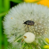 из снятого позавчера 1 :: Александр Прокудин из снятого позавчера 1 :: Александр Прокудин