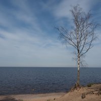 На берегу Ладожского озера :: Магомед .