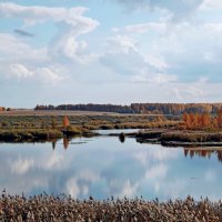 Облачный день :: Сергей Швечков