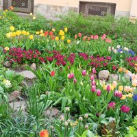 Весна :: Сапсан 