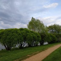 * * * :: Андрей Лукьянов