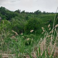 Talgar. :: Murat Bukaev Talgar. :: Murat Bukaev