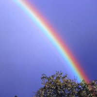 Радуга дуга :: Людмила Смородинская Радуга дуга :: Людмила Смородинская