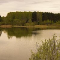 Прогулка возле озера :: Владимир Кириченко