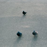 Назва. отсу. :: Денис Безногов