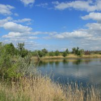 Местные виды. :: Виктор 