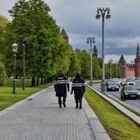 Правоохранительный променад :: Роман Пацкевич