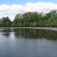 Головие пруды в середине мая :: Дмитрий Никитин