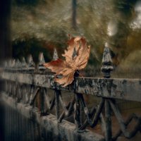 Павший в октябре. :: Анатолий Щербак