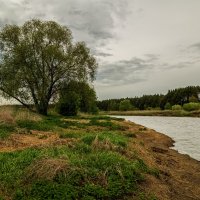 Утро на Клязьме :: Андрей Дворников